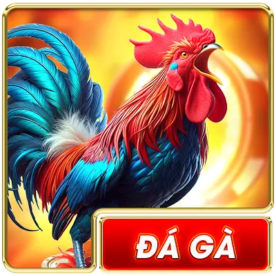 Đá GÀ rr99