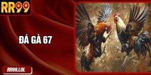 Đá Gà 67