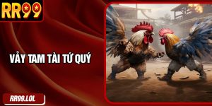 Vảy Tam Tài Tứ Quý