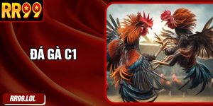 Đá Gà C1